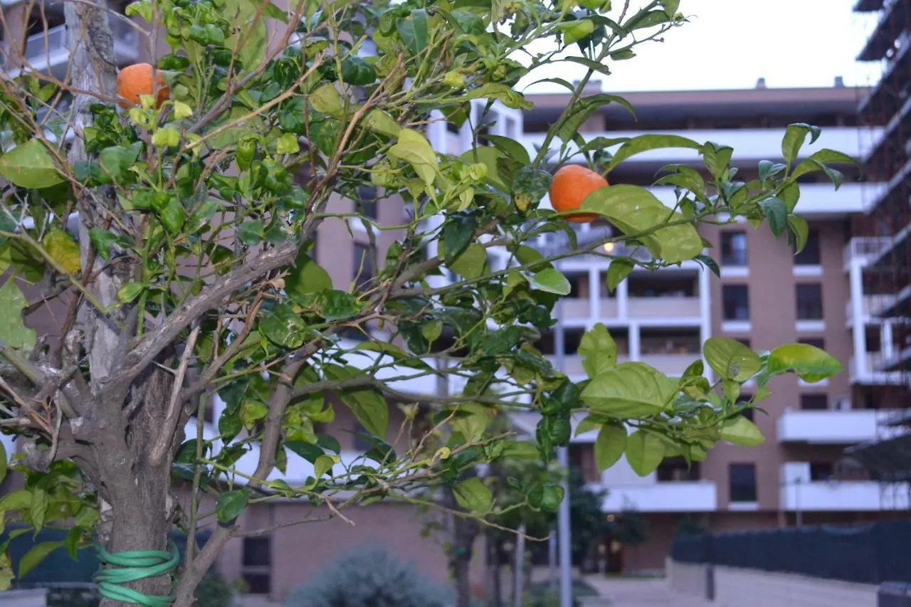 Airport & Fair Suite Apartments Fiumicino 0*,